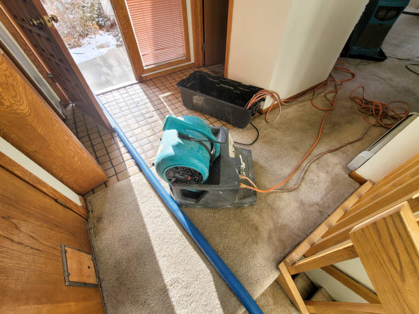 Best Residential water damage restoration  in Bliss Corner, MA
