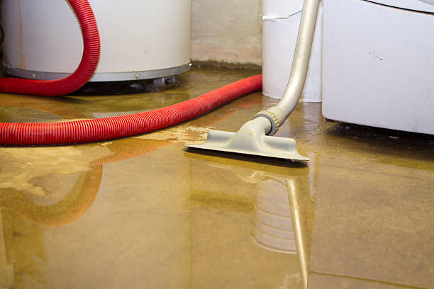 Best Professional water damage repair  in Bliss Corner, MA