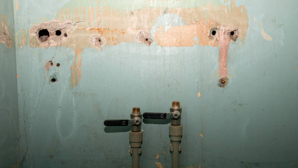 Best Flood damage cleanup  in Bliss Corner, MA