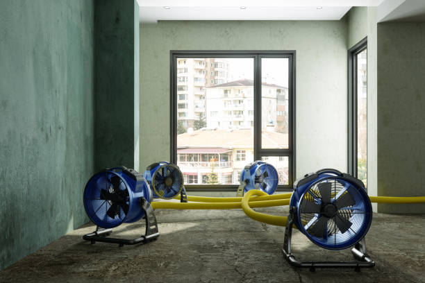 Best Emergency water damage restoration  in Bliss Corner, MA